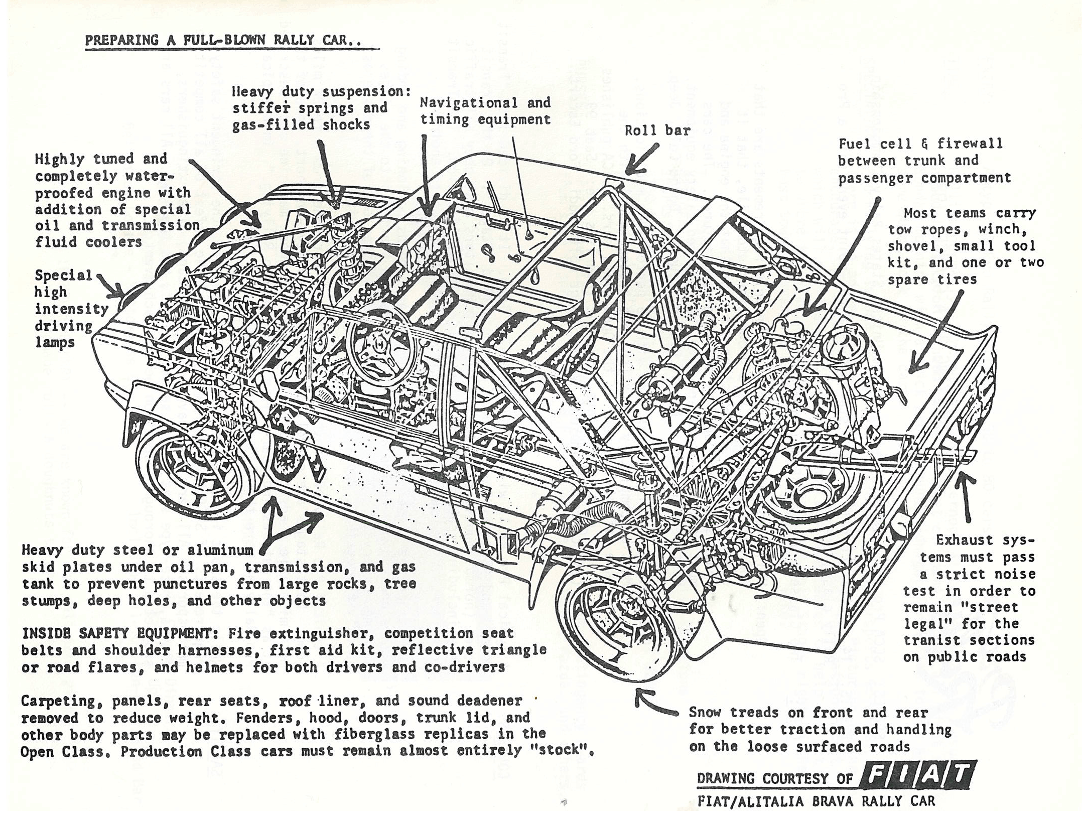 Northern Lights 1982